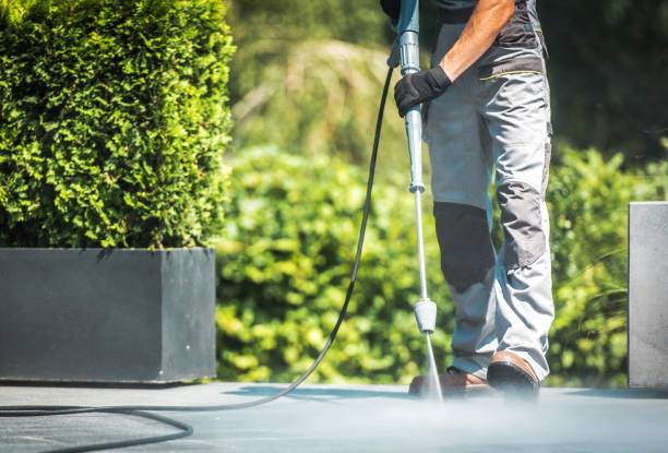 Best Fleet Vehicle Washing  in Boronda, CA